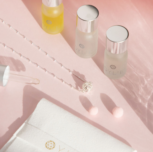 LUXE Silver Necklace - Mini