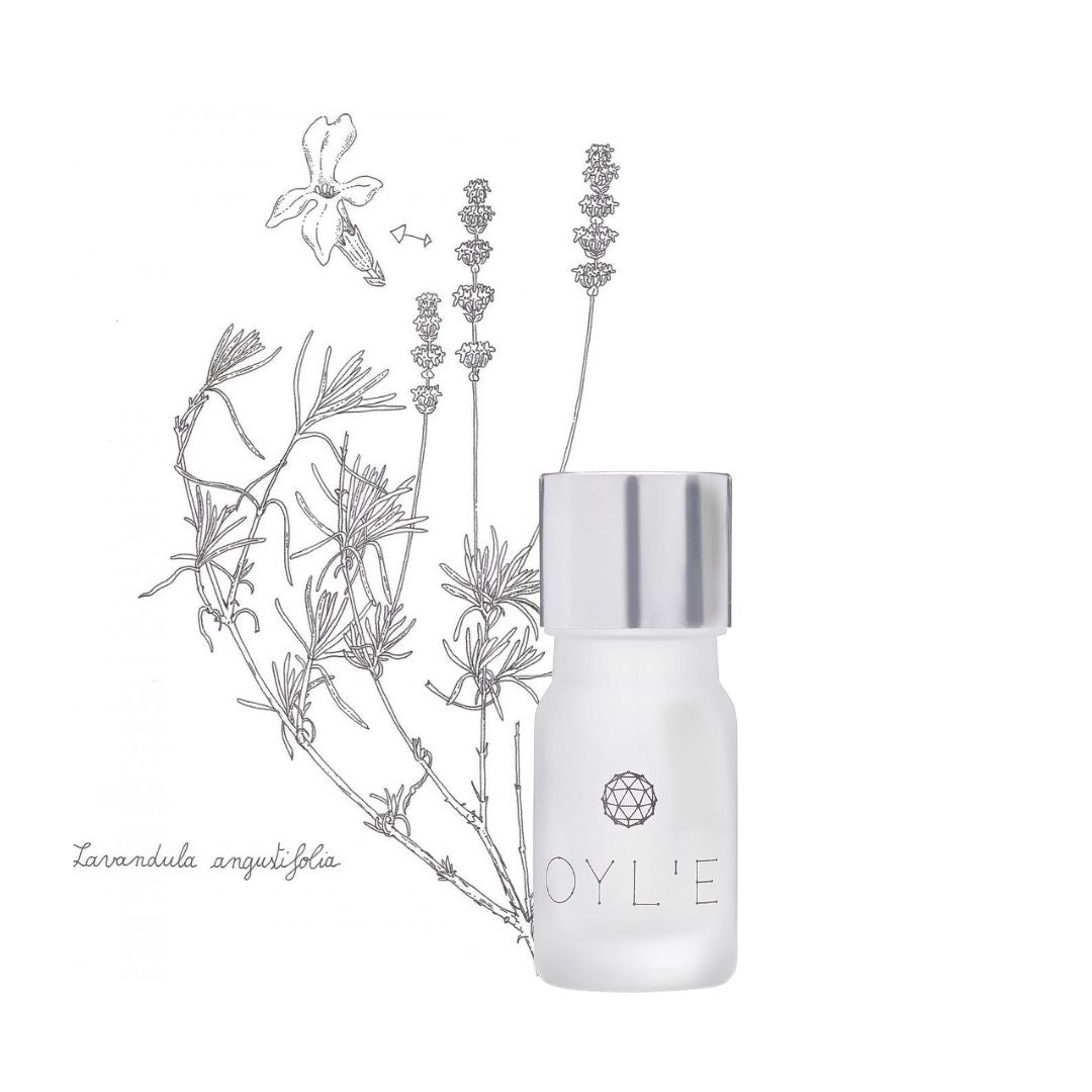 Lavender Essential Oil - Pure - OYL'E Aromatherapy Jewellery